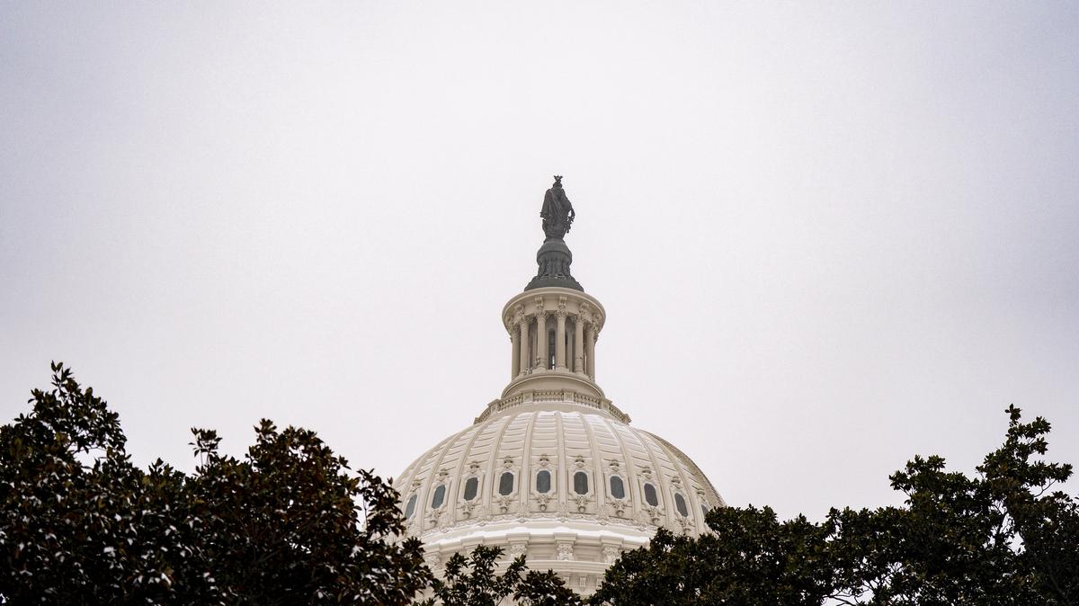 The dome of the U.S. Capitol is framed through a snowy tree on the West Front on Jan. 25, 2026, in Washington, D.C.  (Al Drago/Getty Images/TNS)