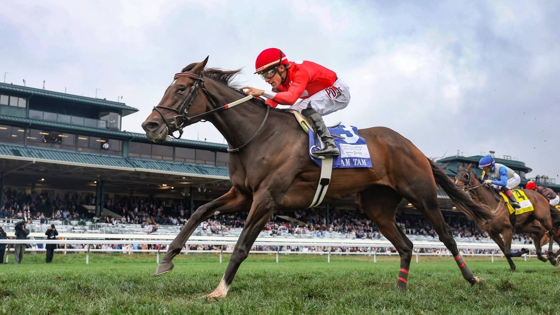 Tam Tam Scores Front-End Win In QEII Challenge Cup 