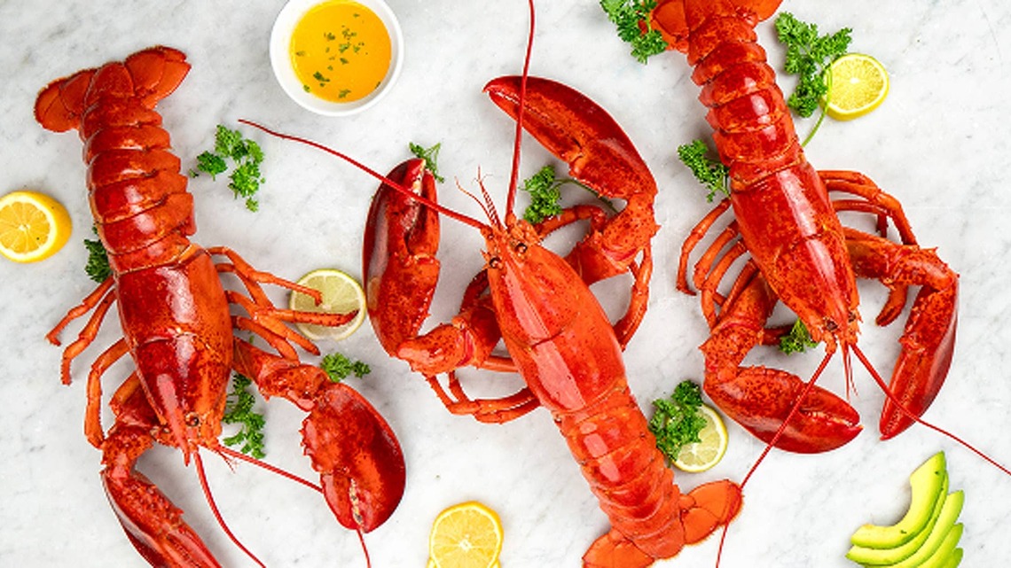 I Tried a Live Lobster Delivery and It Turned Into an Unforgettable Family Experience 
