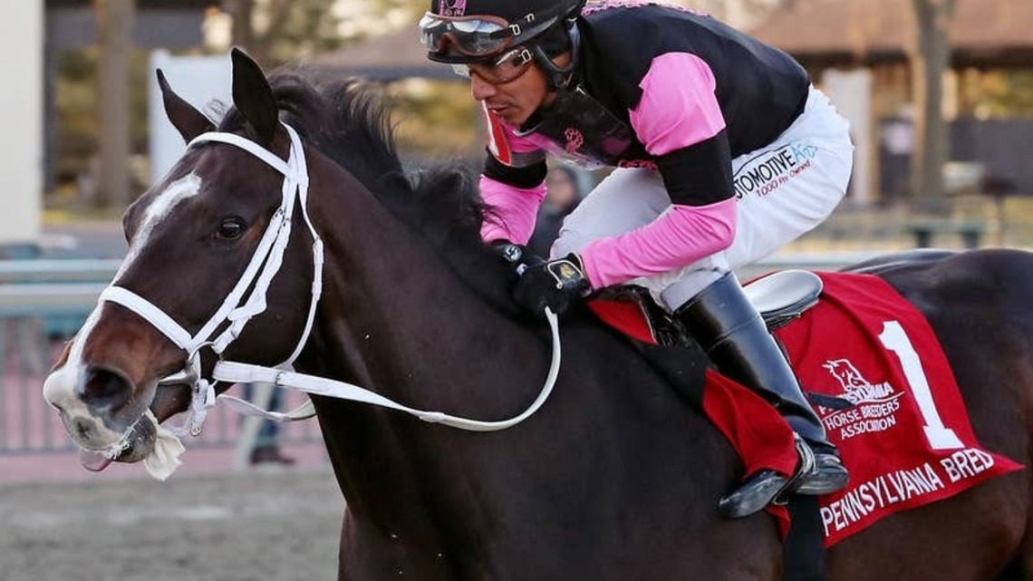 Pennsylvania Leaderboard: Ninetyprcentmaddie Leading Incentive Earners Into Summer Months 