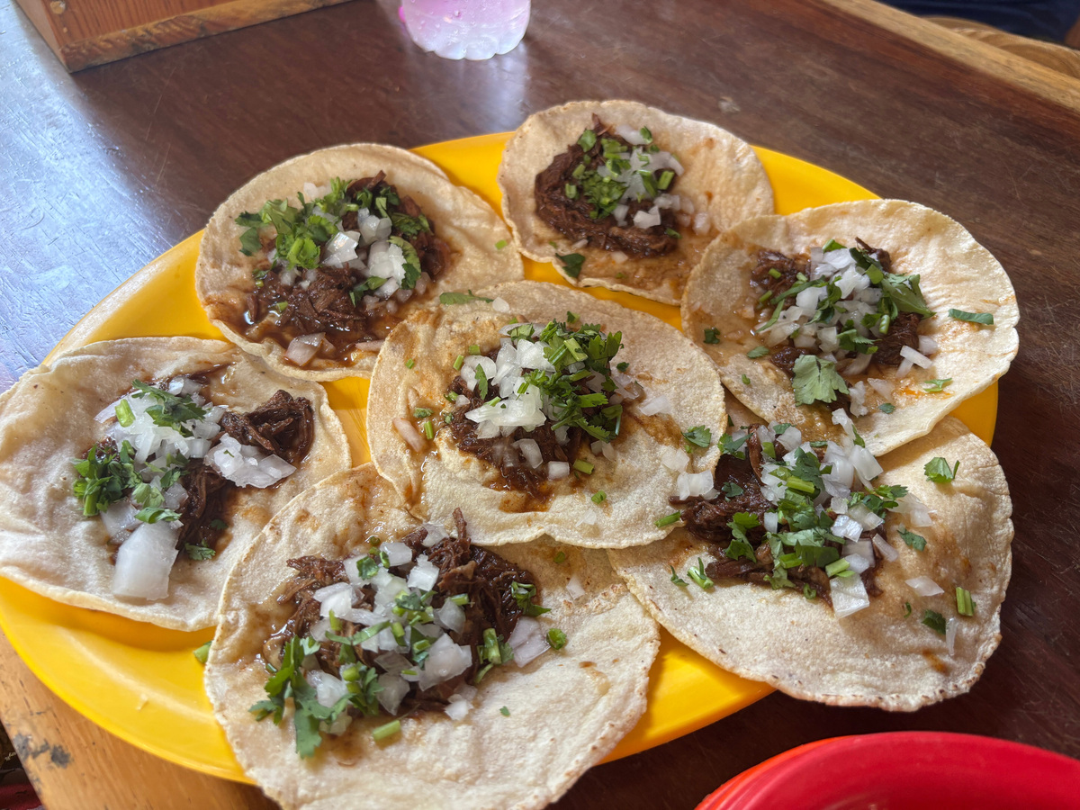 Know this odd quirk before visiting Puerto Vallarta and Nayarit ...