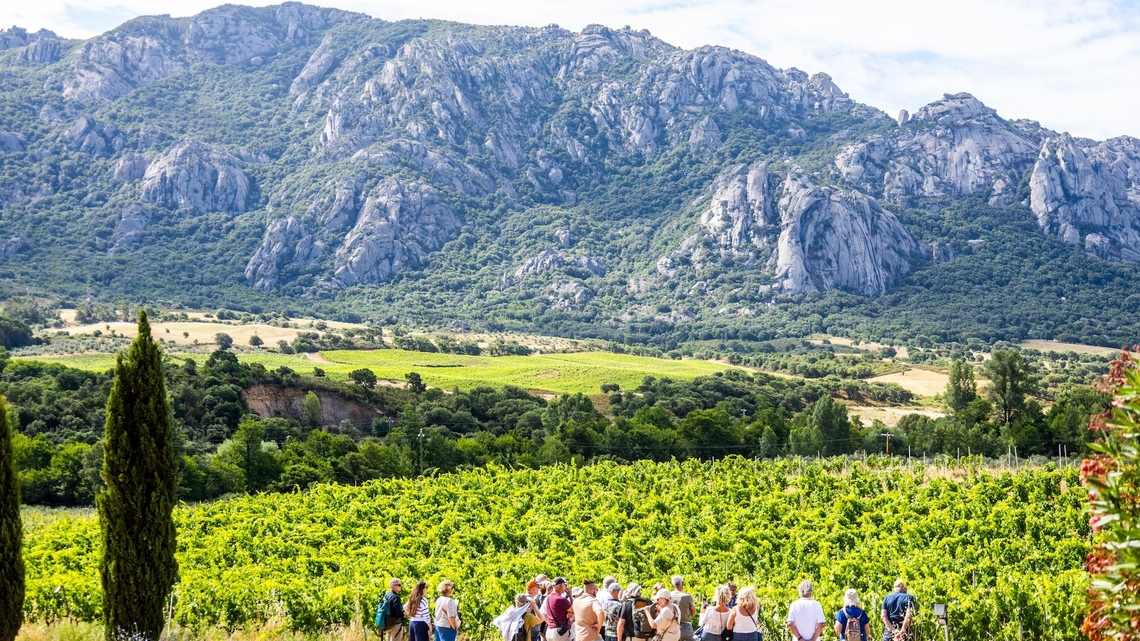 Here’s How to Travel Like a Local in Any City. The Insider Tips Most Tourists Never Know