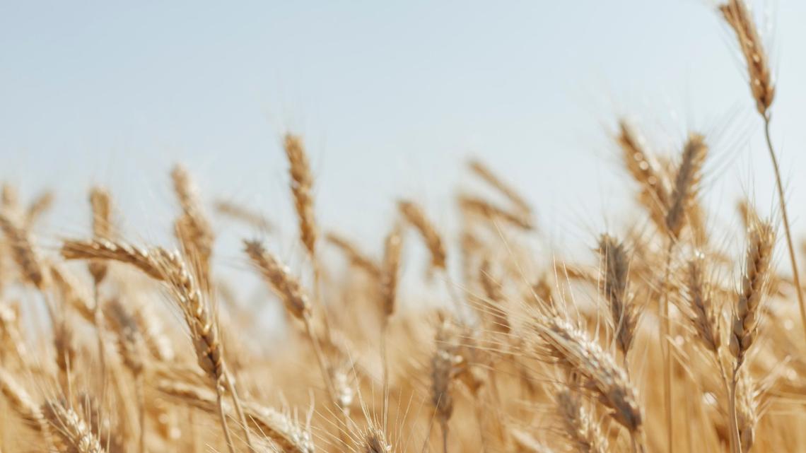 Meet 5 new Mid-Columbia Ag Hall of Fame honorees. They keep WA’s $14B industry humming