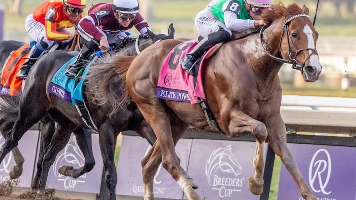 Champion Sprinter Elite Power Leads Juddmonte Farms' U.S. Stallion Roster At $25,000 