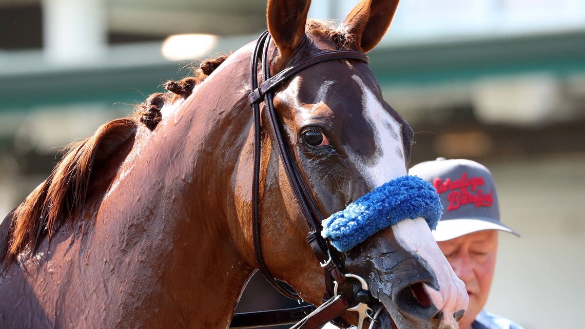 Usha Back To Winner's Circle In Open Mind