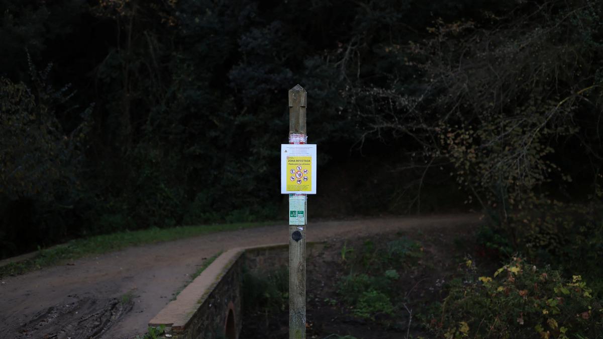 FILE PHOTO: A sign shows an infected area by the African swine fever virus, at Collserola Park, in Cerdanyola del Valles, on the outskirts of Barcelona, Spain, December 1, 2025. REUTERS/Nacho Doce/File Photo