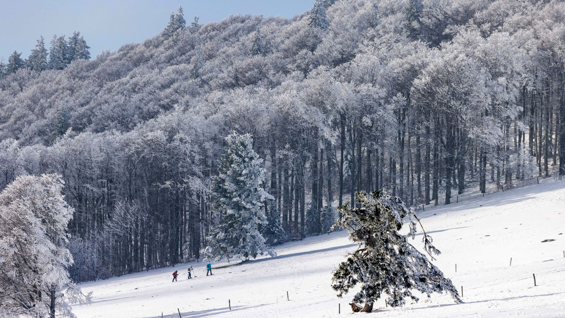 Kicking off the ski season with a sustainable train trip to Les Arcs 