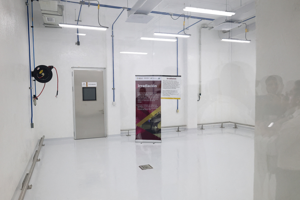 A view of the irradiation area during a media tour following the opening of a sterile fly production plant, a key step to contain the cross-border spread of the New World screwworm and its impact on cattle trade, in Metapa de Domínguez, Chiapas, Mexico, June 27, 2026. REUTERS/Damian Sanchez
