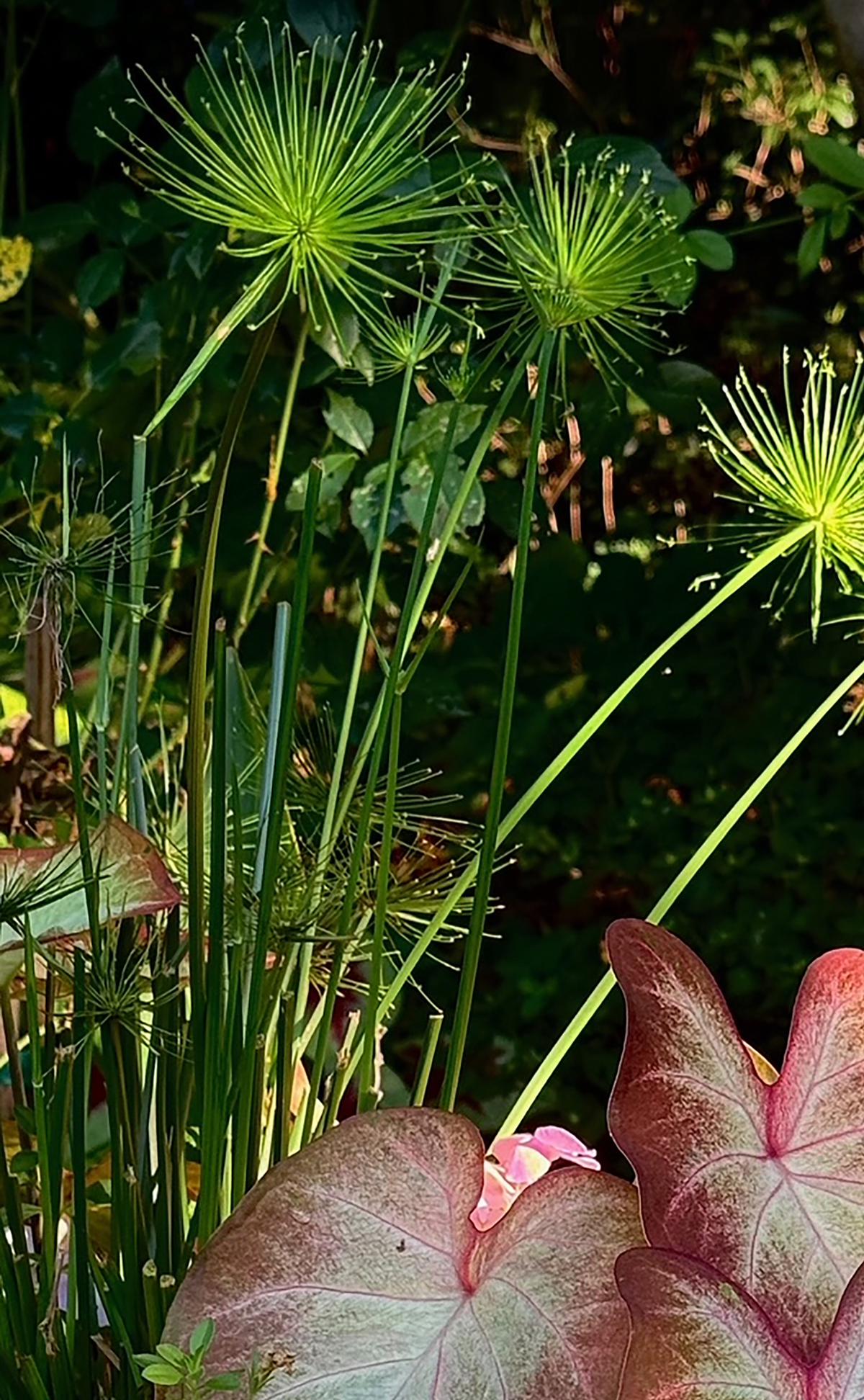 Norman Winter/Norman Winter/TNS