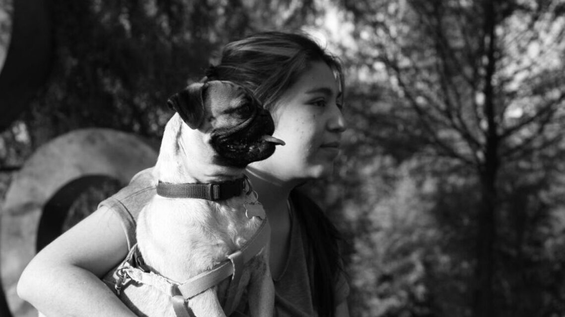 New research reveals how dogs can help teens cope with stress