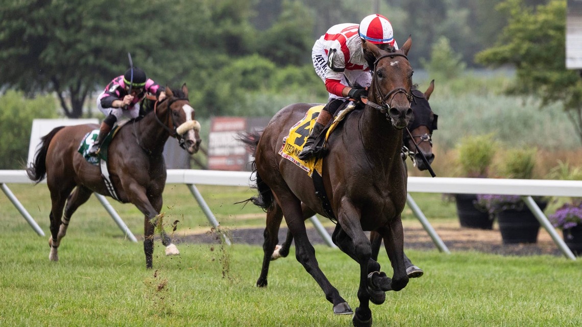Equibase Analysis: Ancient Egypt Poised To Beat Elders In Christophe Clement Turf Stakes 