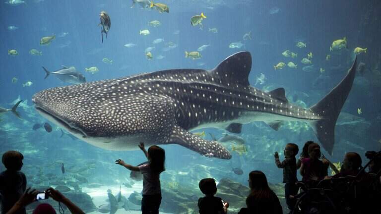 Free activities for kids in September. See list of family day trips near or in Columbus