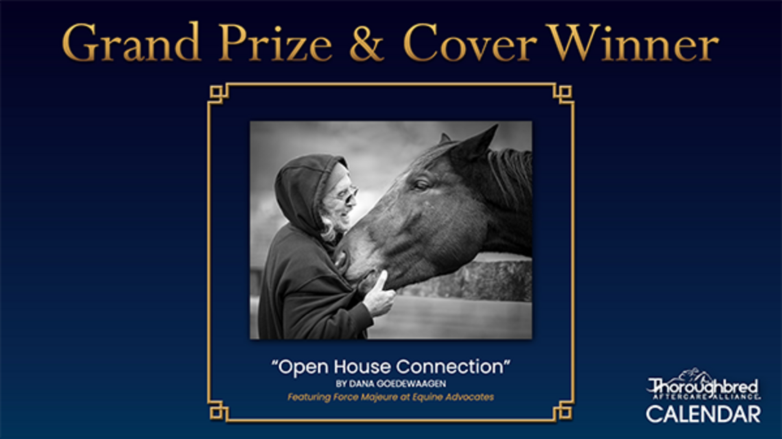 TAA Announces Winners Of Sixth Annual Calendar Photo Contest 