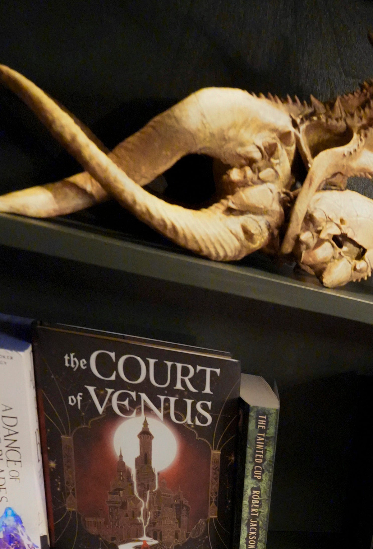 Immersive, dark fantasy-inspired bookstore opens in Prattville | Biloxi ...