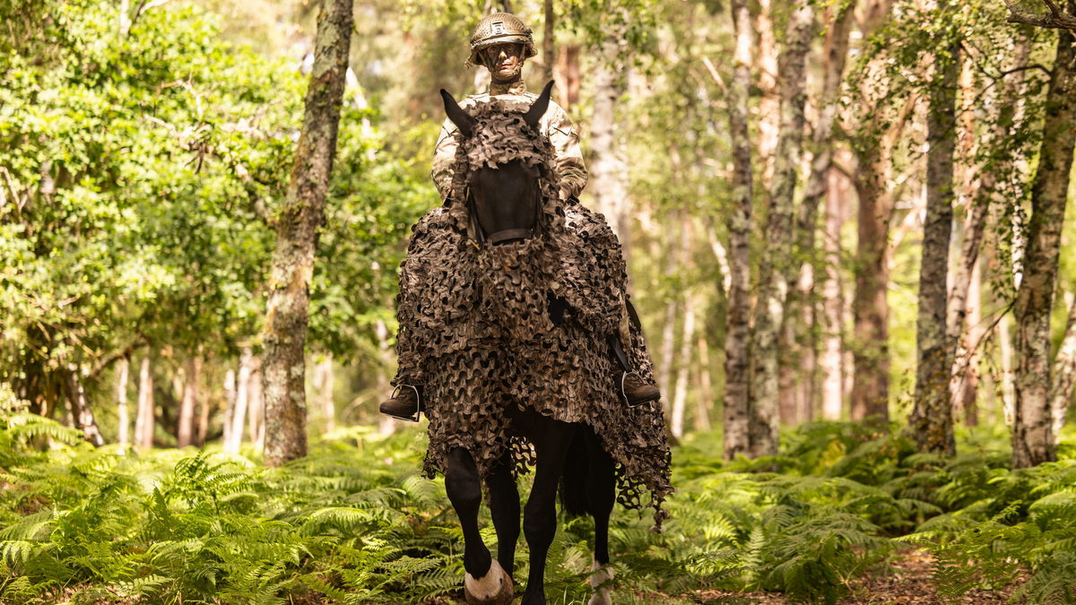 Camouflaged horses for modern warfare?