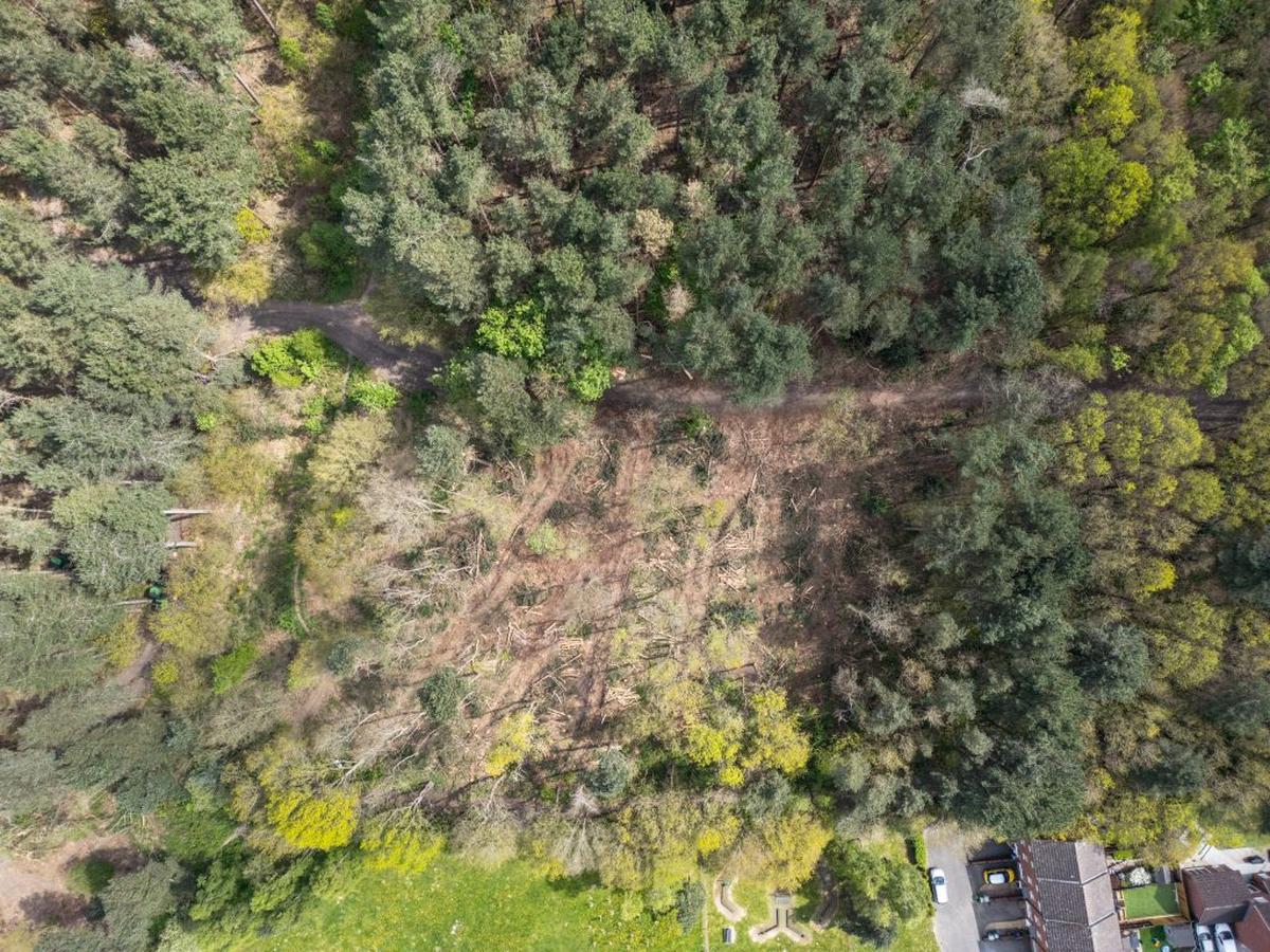  Birds eye view of the site that was wrongly cut down. (Tom Maddick via SWNS) 