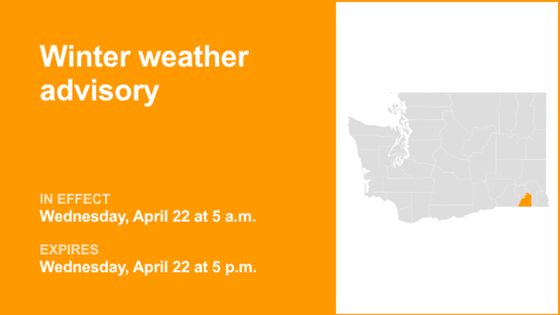 unitedrobots photography