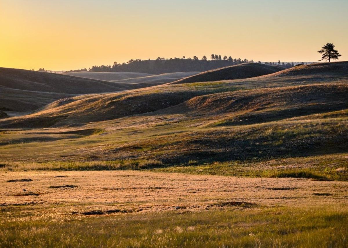  Zack Frank // Shutterstock 