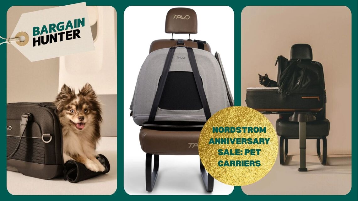 These High-End Pet Travel Essentials Are up to 50% Off During Nordstrom's Anniversary Sale 