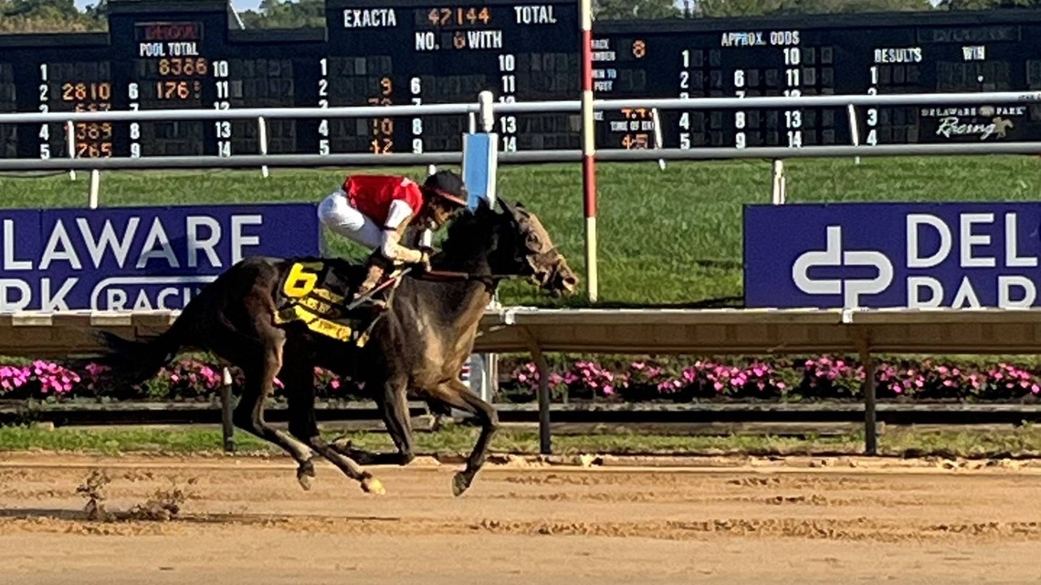 Delaware Handicap Card Postponed Due To Weather 