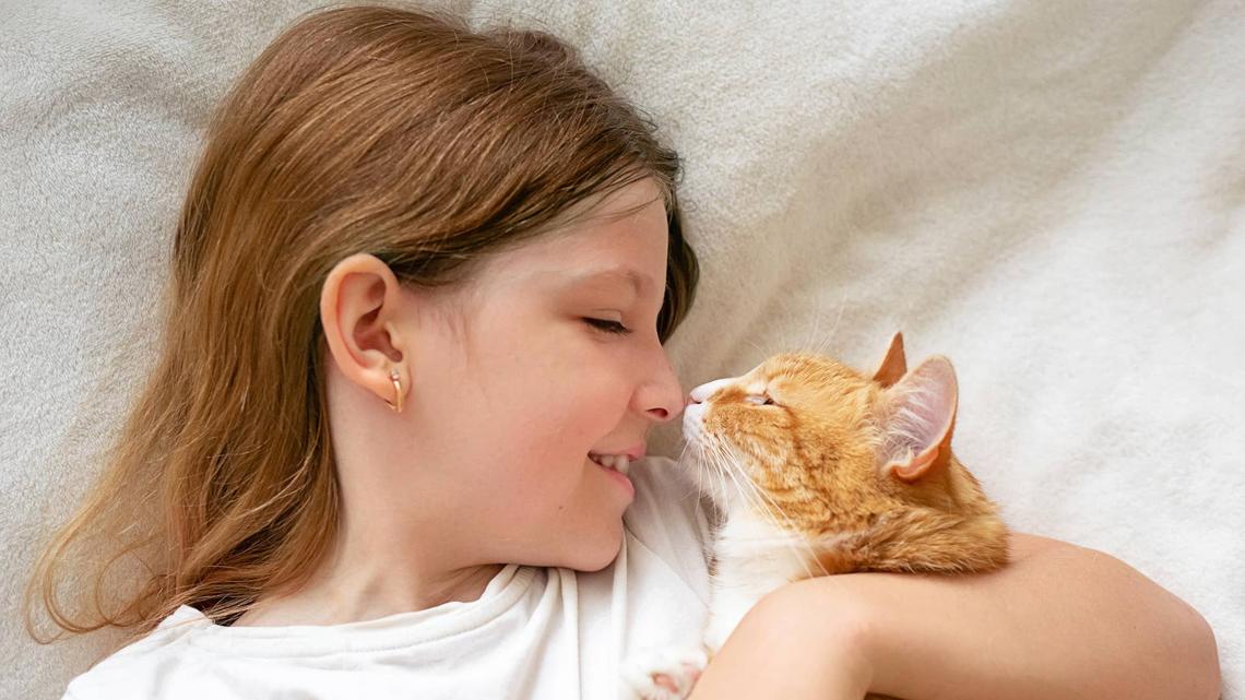 Little Girl Thinks Beloved Kitten Is Lost Forever -- Then a Miracle Moment Changes Everything 