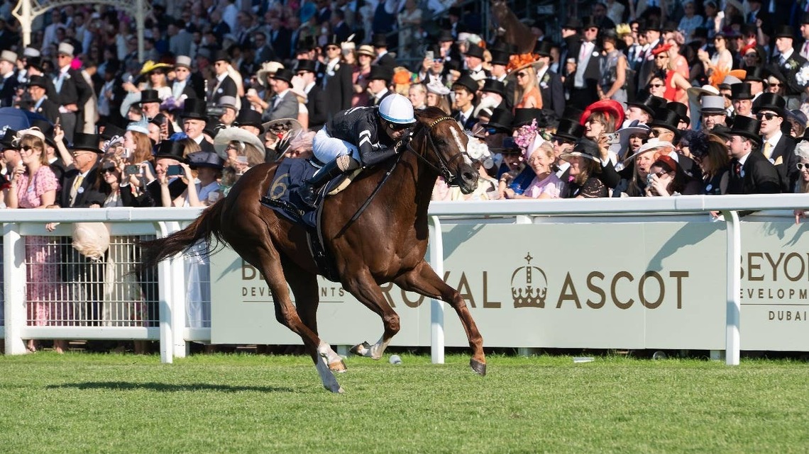 Juan Hernandez To Partner Royal Ascot Winner Bacio In Nunthorpe 