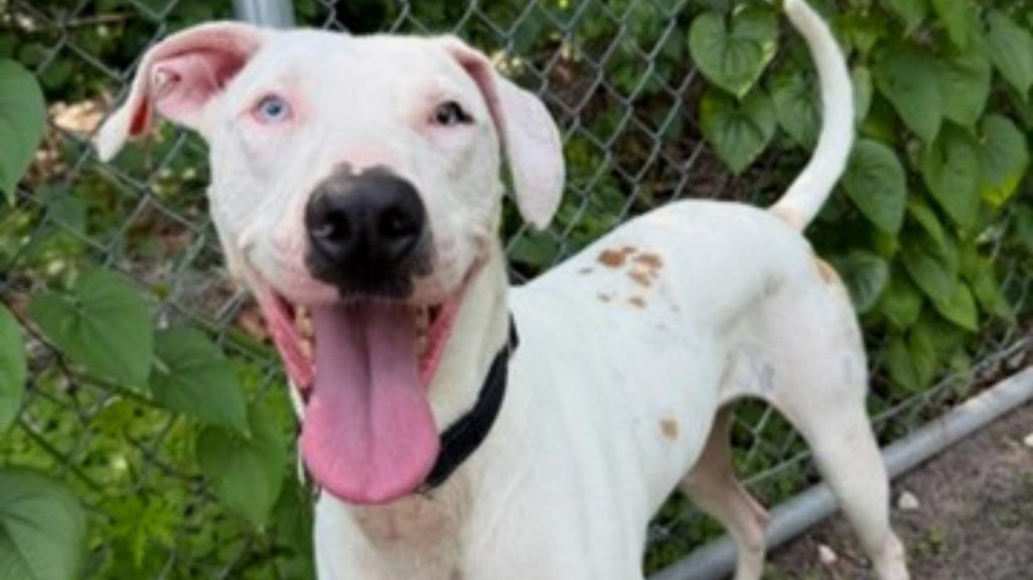 Seymour doesn't let sight and hearing impairments stop him