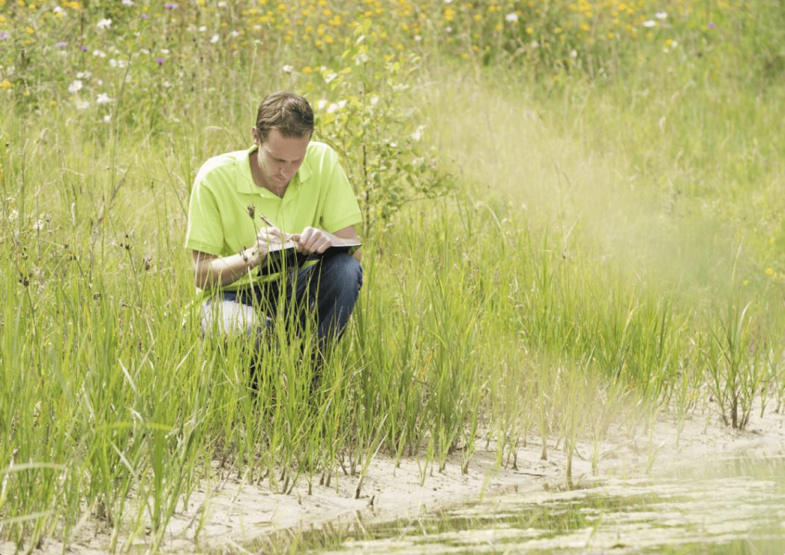  photodiem // Shutterstock 