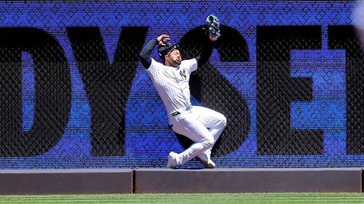  May 7, 2026; Bronx, New York, USA; New York Yankees left fielder Jasson Dominguez (24) makes a catch against the wall on a fly ball by Texas Rangers designated hitter Brandon Nimmo (not pictured) during the first inning at Yankee Stadium. Dominguez was injured on the play and taken out of the game. Mandatory Credit: Brad Penner-Imagn Images | Brad Penner-Imagn Images 