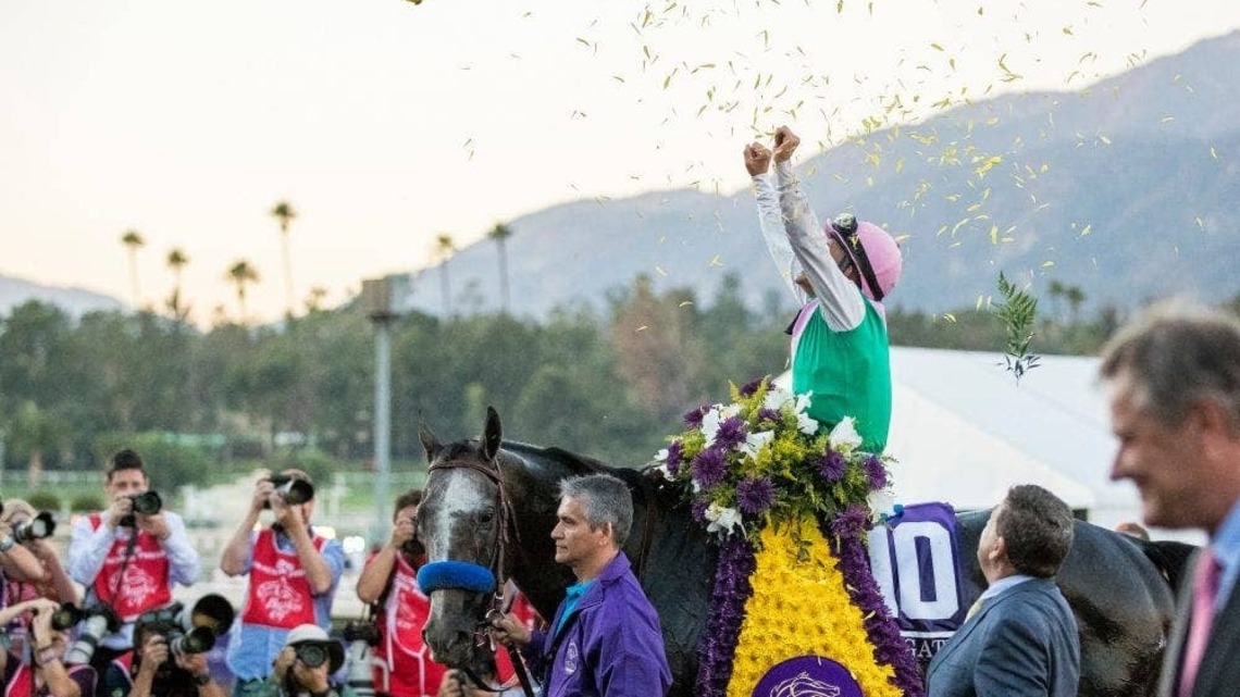 Where Are They Now? The Winners Of The 2016 Breeders' Cup 