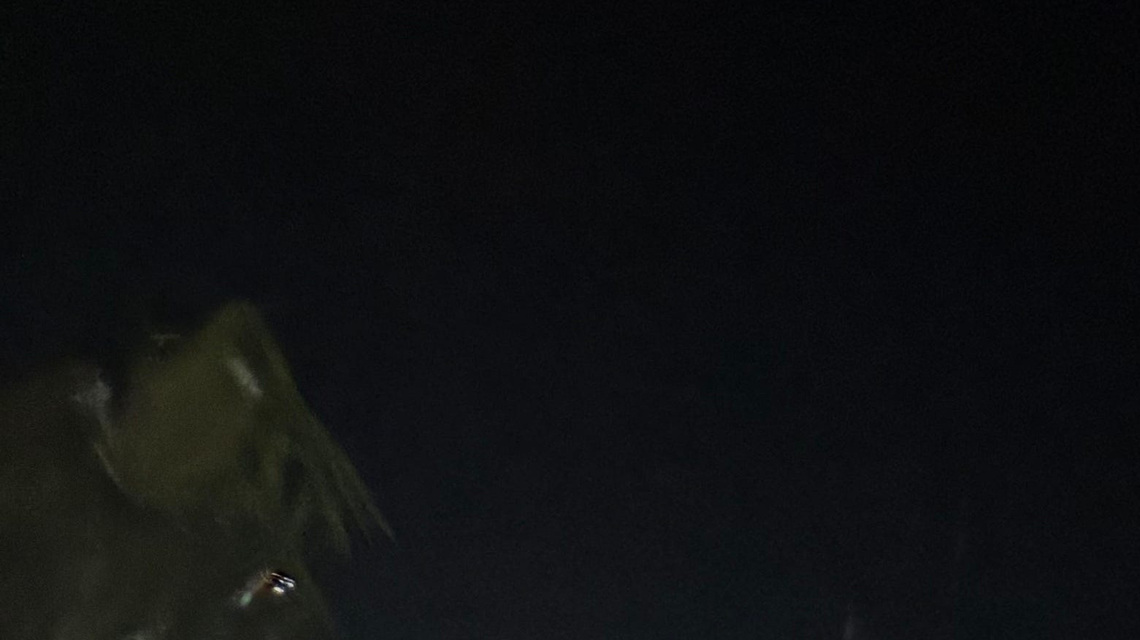 Viral video shows man jump into water on Disney World boat ride 