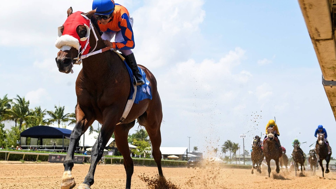 Undefeated Florida-Bred Sum Of Success Under Consideration For Breeders' Cup 