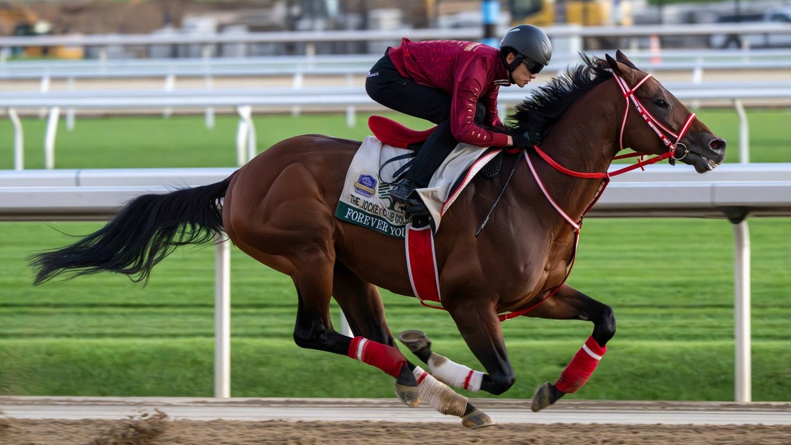 Champion Forever Young Breezes At Belmont Park 