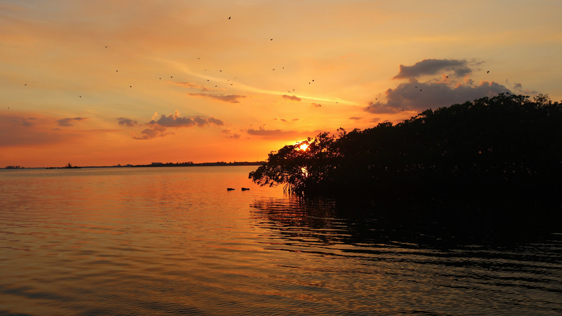 Best SW Florida reader photos include Fort Myers, Naples, Cape Coral 