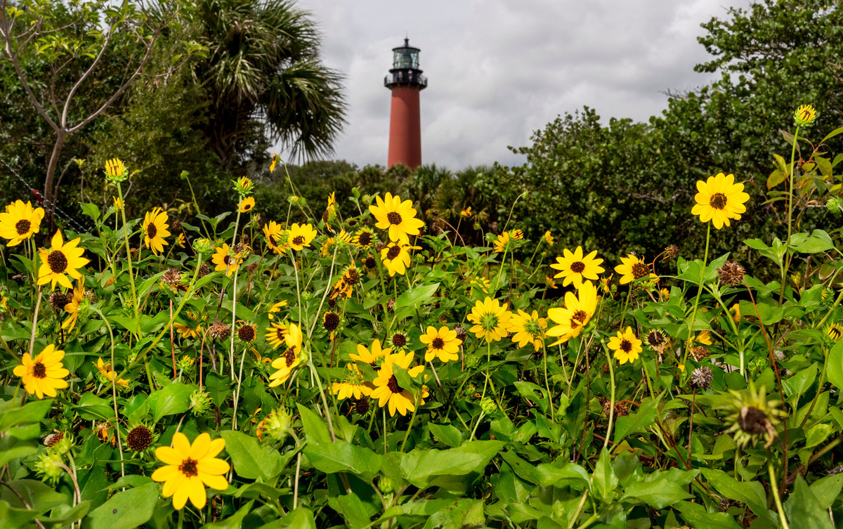 How a $16M project made Jupiter Inlet Lighthouse a better public park ...