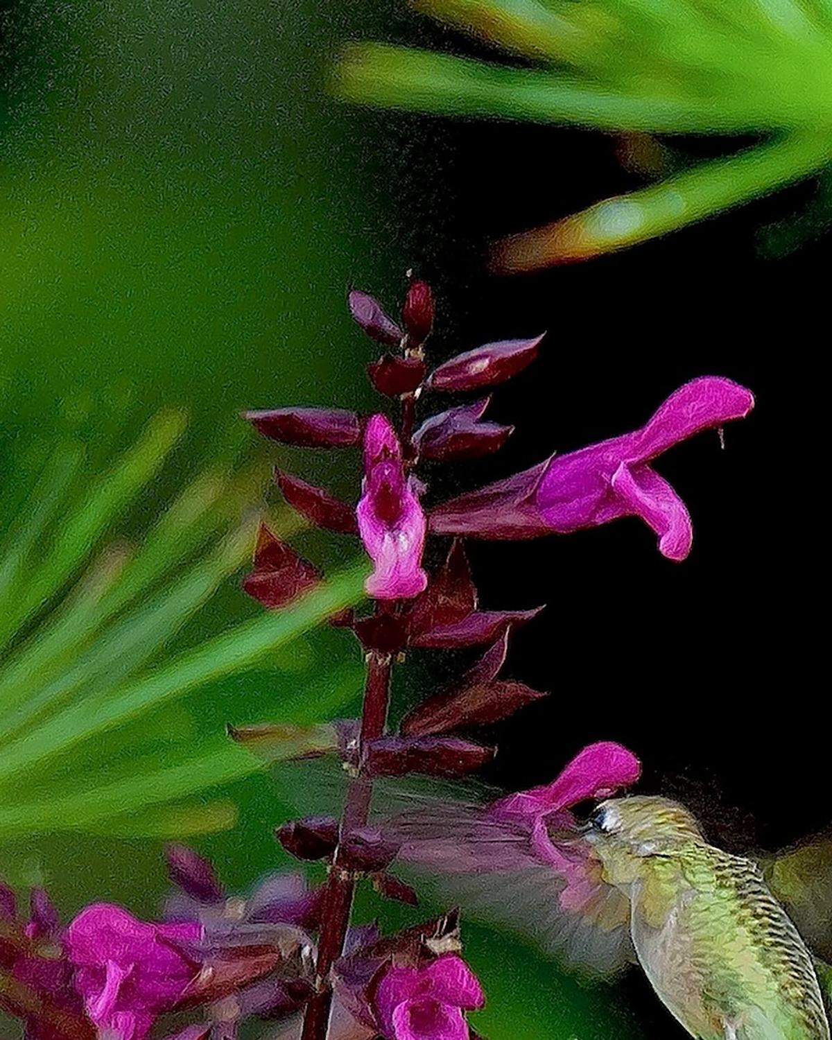 Norman Winter/Norman Winter/TNS