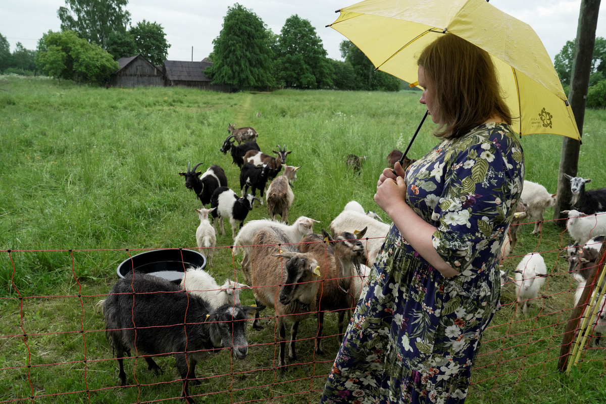 Goat farm owner and cheesmaker Jolanta Smane stands in front of goats in Rezekne county, Latvia, June 8, 2026. REUTERS/Janis Laizans