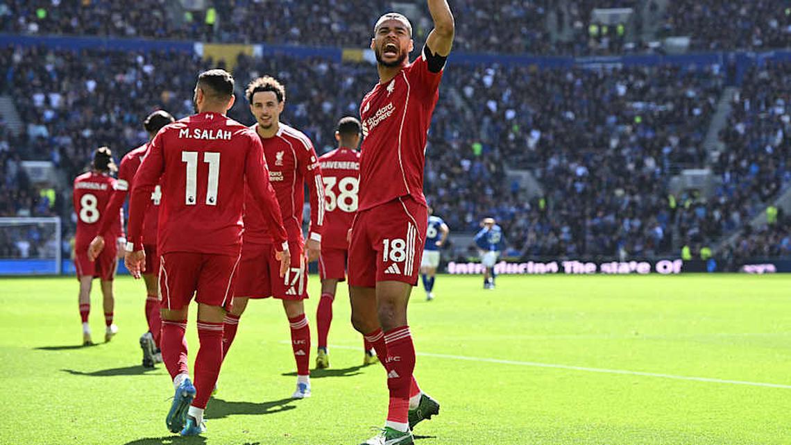 Gakpo teed up the opening goal with an excellent pass. | Paul ELLIS/AFP/Getty Images 