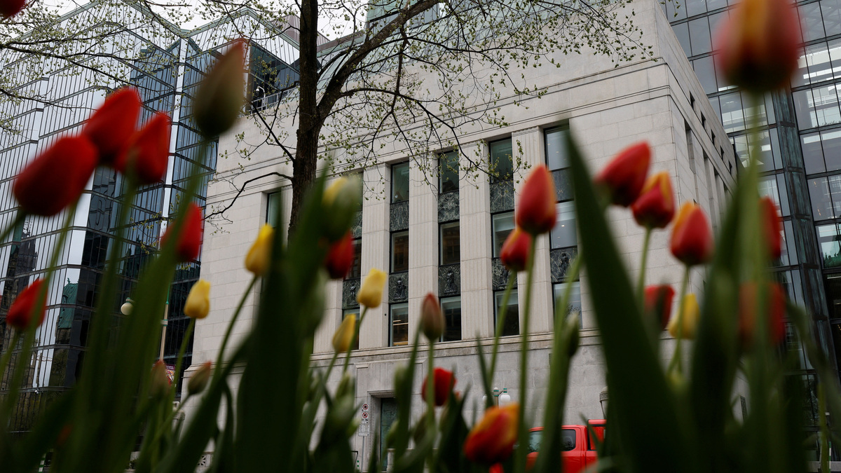 A view of the Bank of Canada building framed by tulips in Ottawa, Ontario, Canada May 8, 2025. REUTERS/Blair Gable/File Photo