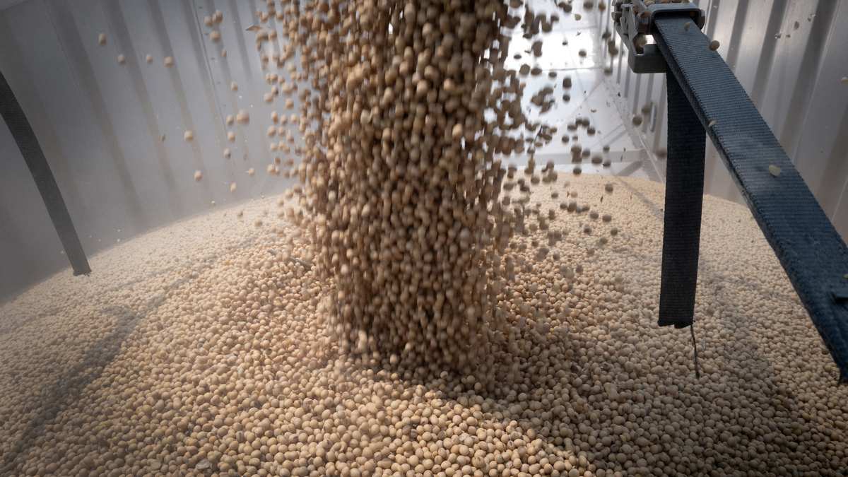 China adds to US soy buying with largest daily deal since 2025