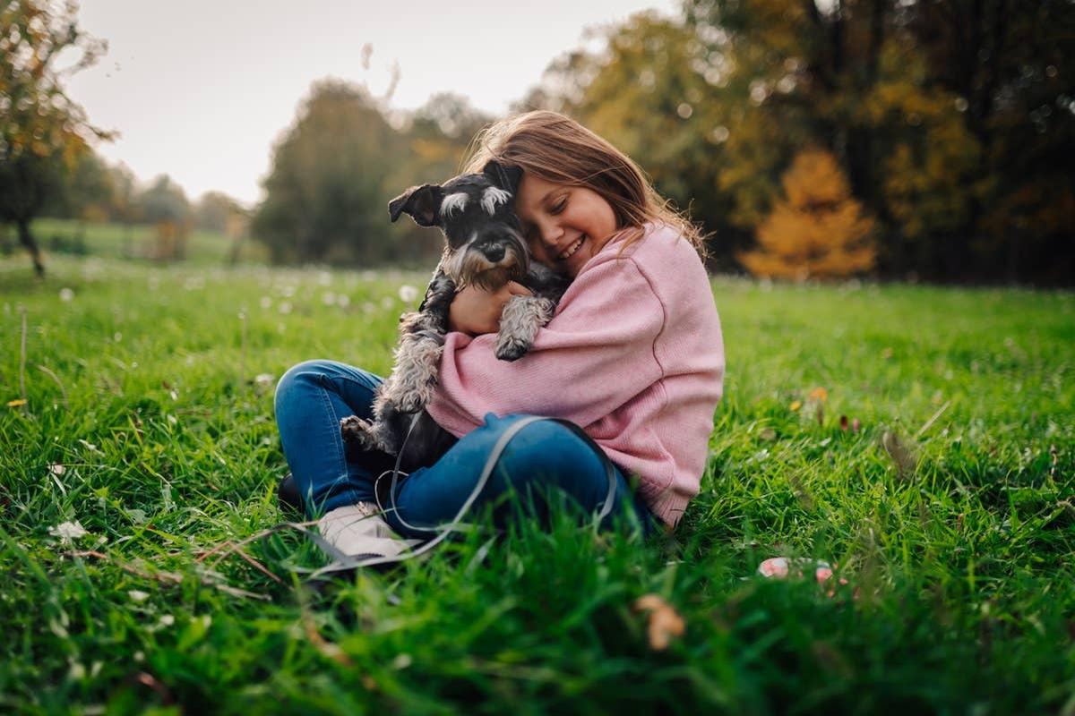  A watchful and gentle small guard dog with a little girl.