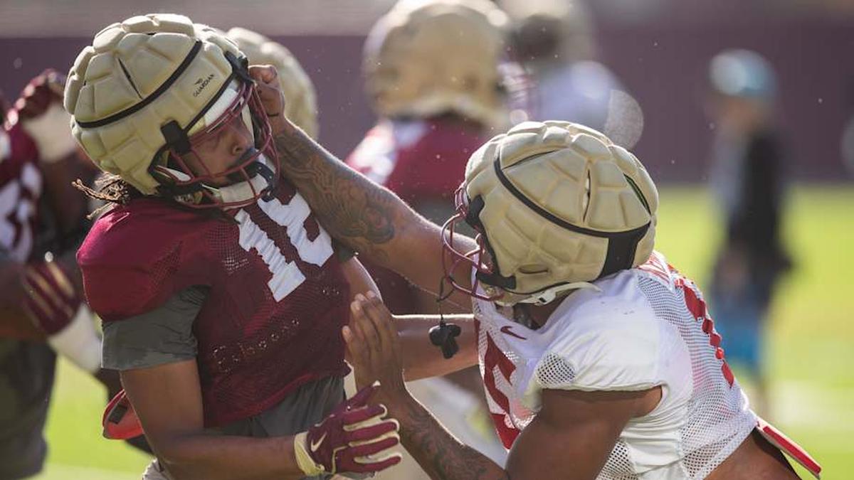  The Florida State Seminoles football team practice for the upcoming season Thursday, April 9, 2026. | Alicia Devine/Tallahassee Democrat / USA TODAY NETWORK via Imagn Images 