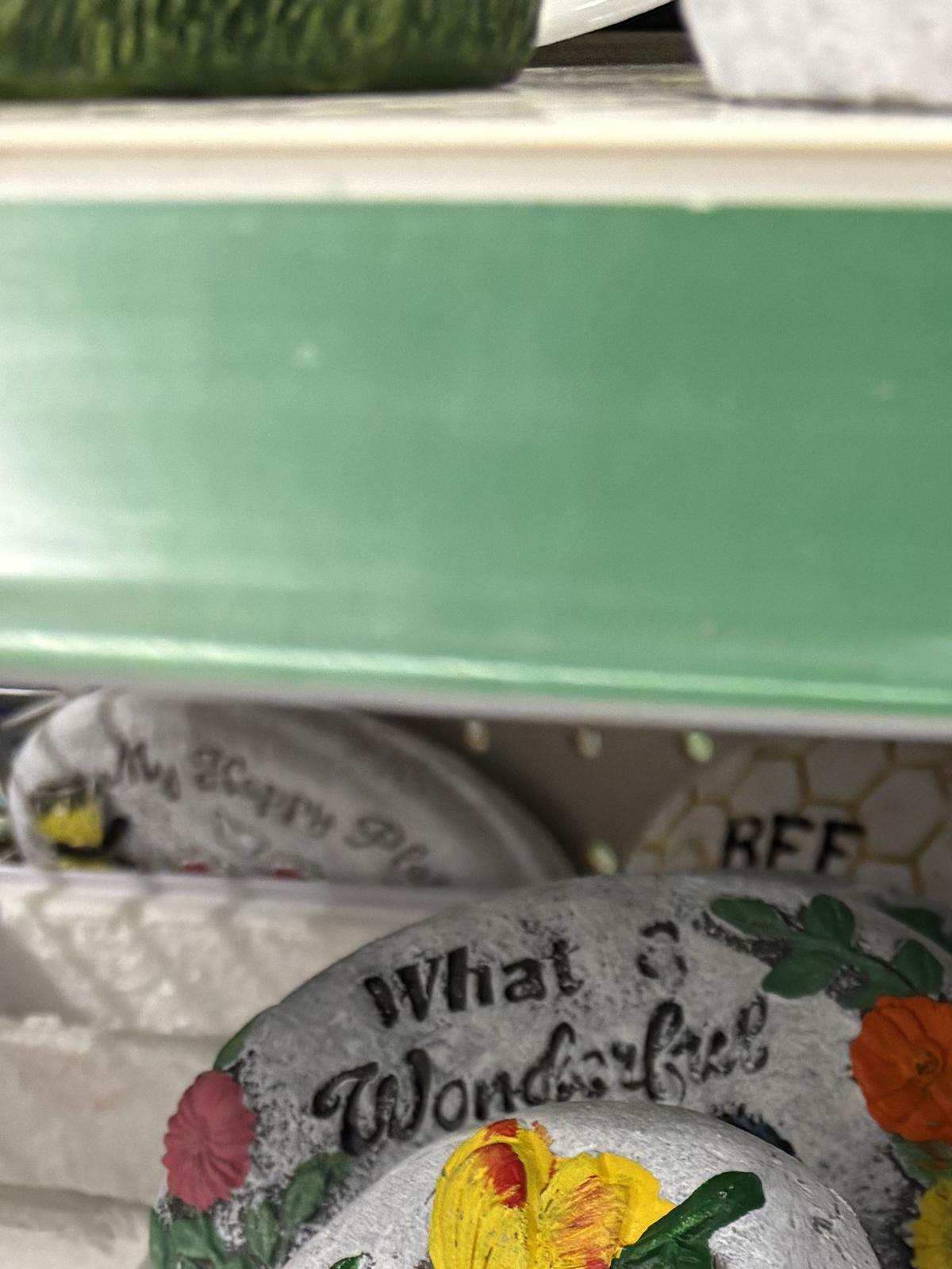 Dollar Tree painted river stones are so charming.Allison Nemetz