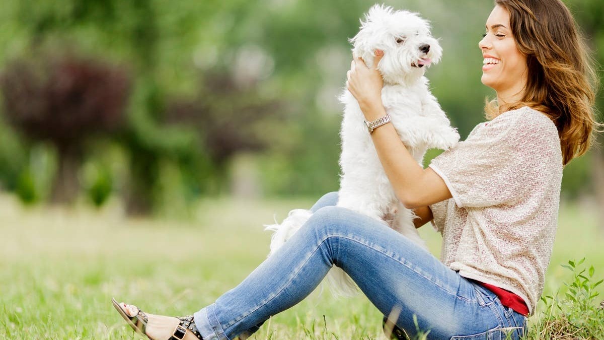 An affectionate dog that notices its pet parents stick to a walking schedule each day. 
