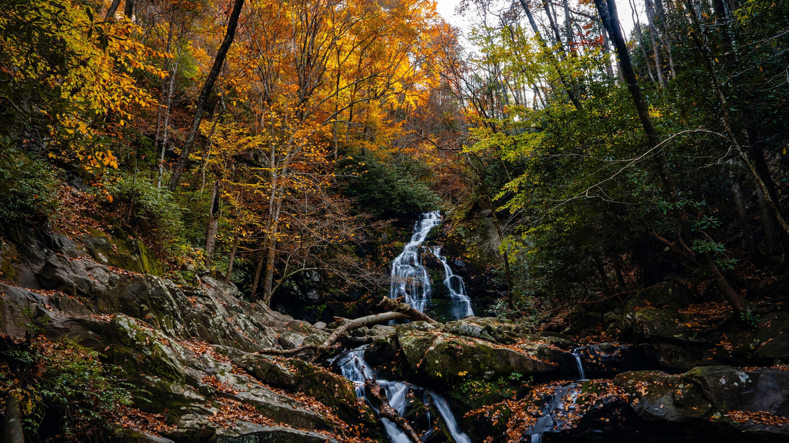 First day of fall is here. What to know about 2026 autumnal equinox