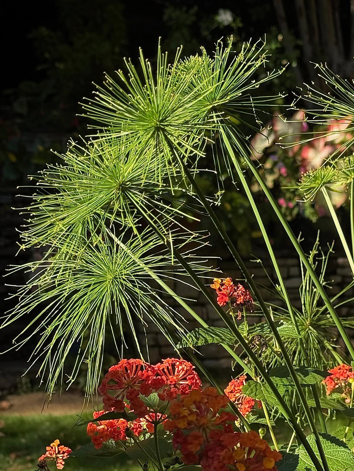 Norman Winter/Norman Winter/TNS