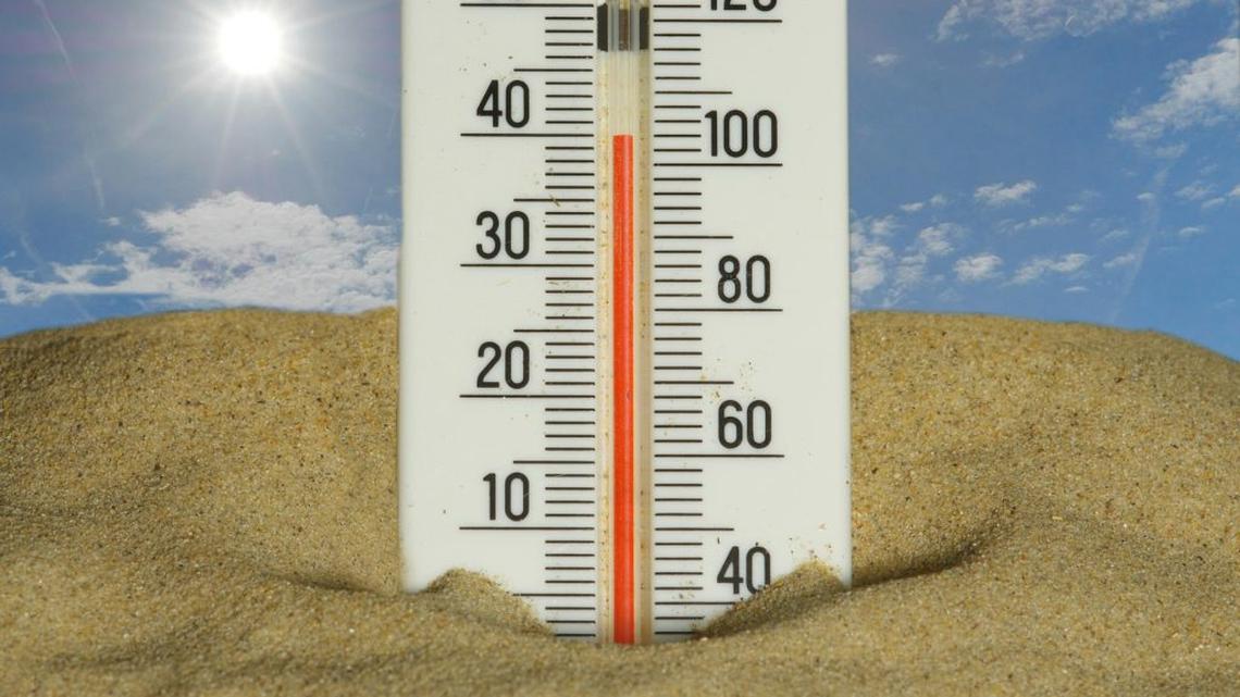 (Photo by Immo Wegmann via Unsplash). 