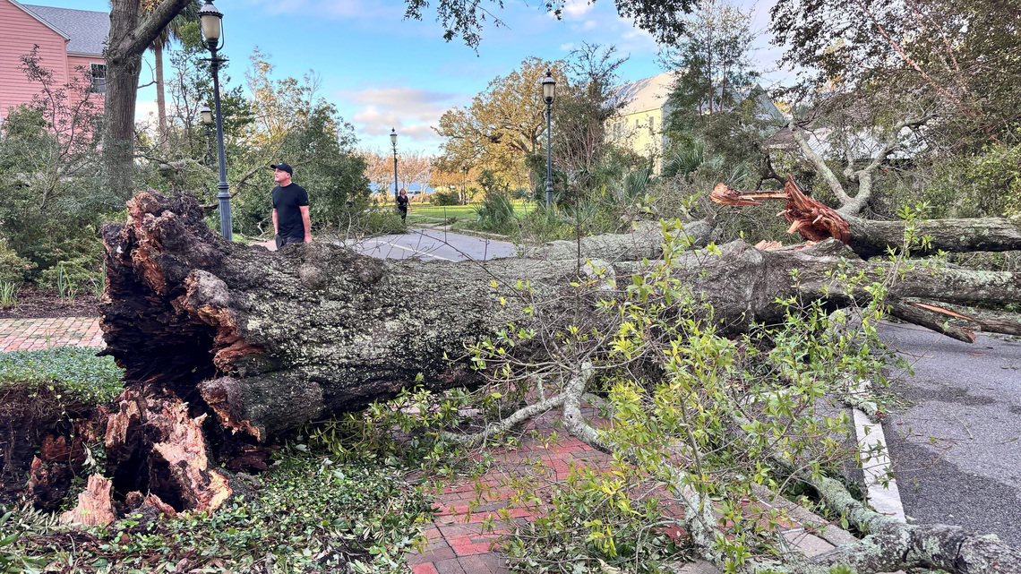 Early Escambia County Isaias public damage estimated at $64M