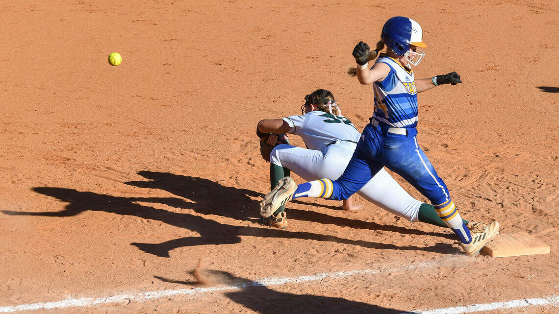 Tattnall softball loses on gut-wrenching walk-off in state title game