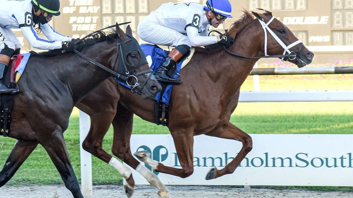 Stakes Winner John Hancock Makes First Start For New Connections At Gulfstream Park 
